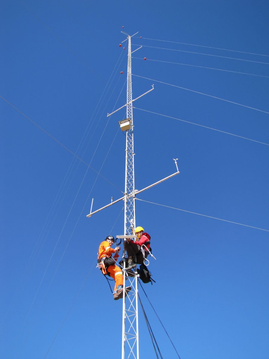 A picture of the mast or site