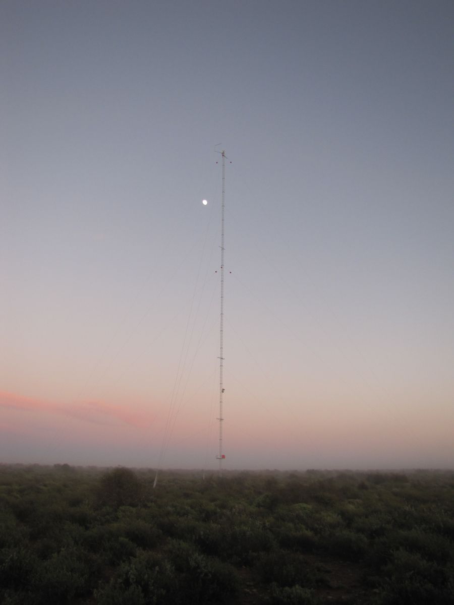 A picture of the mast or site